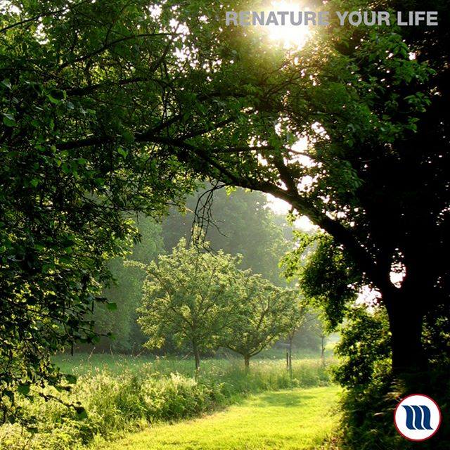 32207332_1692529124160579_5943223002282852352_n Haal de natuur in huis ..