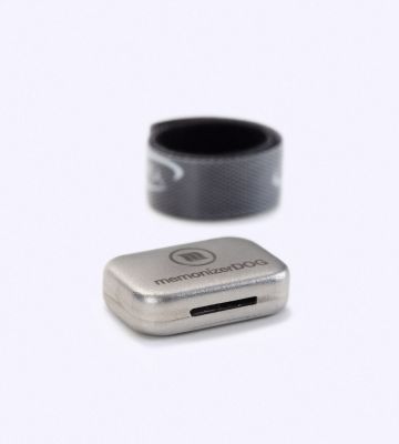 Memonizer DOG steel - Afbeelding 2